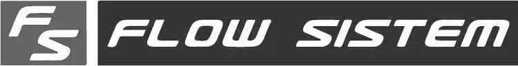 Logo Flow Sistem