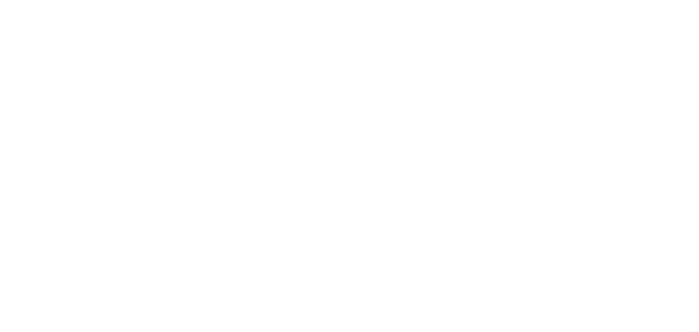 Logo Netlify